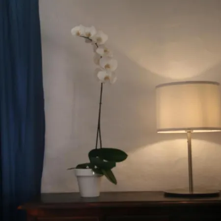 Bed & Breakfast Casal Cortez